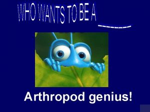 Arthropod genius MILLIONAIRE SCOREBOARD 1 MILLION 16 000