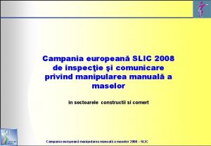 Campania european SLIC 2008 de inspecie i comunicare