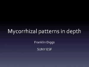 Mycorrhizal patterns in depth Franklin Diggs SUNY ESF