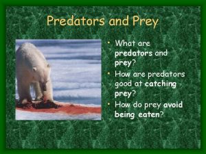 Predators and Prey What are predators and prey