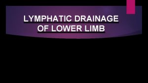 LYMPHATIC DRAINAGE OF LOWER LIMB LYMPHATIC DRAINAGE OF