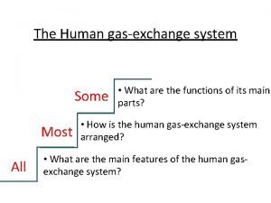 The Human gasexchange system Some Most All What