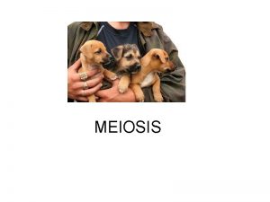MEIOSIS Parents can produce many types of offspring