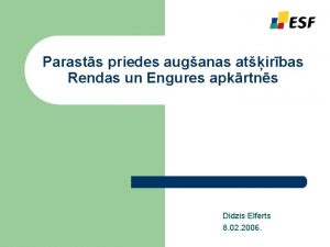 Parasts priedes auganas atirbas Rendas un Engures apkrtns