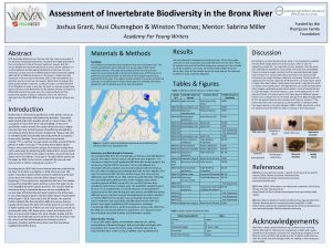 Assessment of Invertebrate Biodiversity in the Bronx River