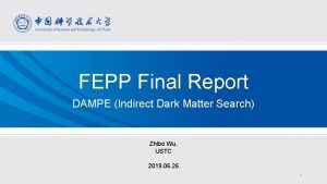 FEPP Final Report DAMPE Indirect Dark Matter Search