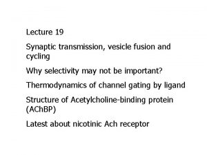Lecture 19 Synaptic transmission vesicle fusion and cycling