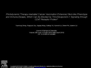 Photodynamic Therapymediated Cancer Vaccination Enhances Stemlike Phenotype and