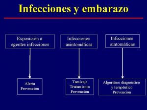 Infecciones y embarazo Exposicin a agentes infecciosos Infecciones