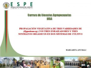 Carrera de Ciencias Agropecuarias IASA PROPAGACIN VEGETATIVA DE