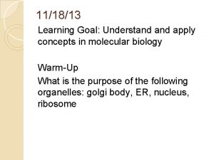 111813 Learning Goal Understand apply concepts in molecular