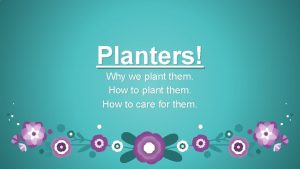 Planters Why we plant them How to care