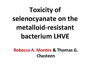 Toxicity of selenocyanate on the metalloidresistant bacterium LHVE