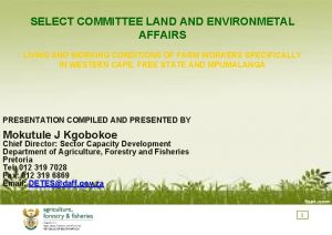 SELECT COMMITTEE LAND ENVIRONMETAL AFFAIRS LIVING AND WORKING