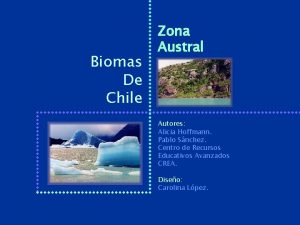 Biomas De Chile Zona Austral Autores Alicia Hoffmann
