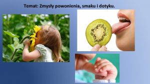 Temat Zmysy powonienia smaku i dotyku opuszka wchowa