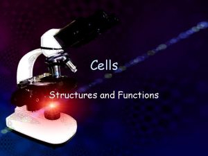 Cells Structures and Functions Vocabulary Words Nucleus Nucleolus