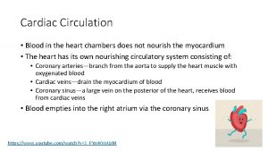 Cardiac Circulation Blood in the heart chambers does
