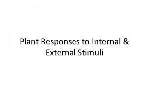Plant Responses to Internal External Stimuli I Etiolation
