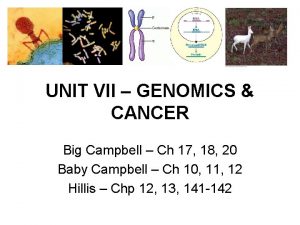 UNIT VII GENOMICS CANCER Big Campbell Ch 17