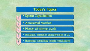 Todays topics PHYSIOLOGY OF SPERM I SPERM CAPACITATION