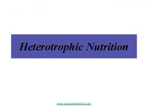 Heterotrophic Nutrition www assignmentpoint com Introduction unable to