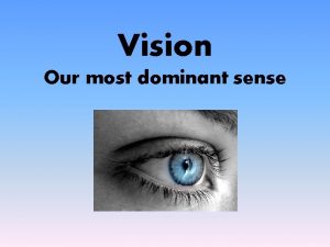 Vision Our most dominant sense Our Essential Questions