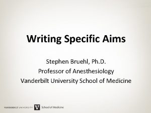 Writing Specific Aims Stephen Bruehl Ph D Professor