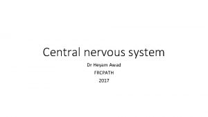 Central nervous system Dr Heyam Awad FRCPATH 2017