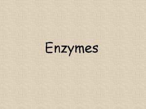Enzymes Characteristics All Enzymes are Proteins Catalysts i