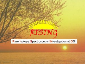 Rare Isotope Spectroscopic INvestigation at GSI Count Rate