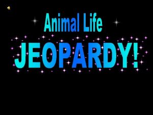 Animal Life Jeopardy Game Category Category African Dwarf