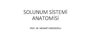 SOLUNUM SSTEM ANATOMS PROF DR MEHMET EMRZEOLU SOLUNUM