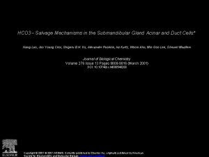 HCO 3 Salvage Mechanisms in the Submandibular Gland
