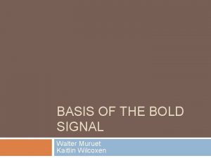 BASIS OF THE BOLD SIGNAL Walter Muruet Kaitlin