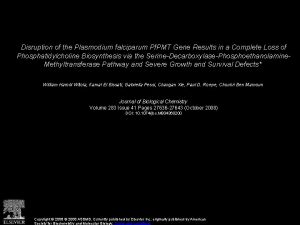 Disruption of the Plasmodium falciparum Pf PMT Gene