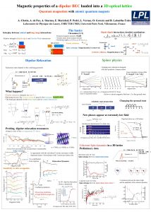 Magnetic properties of a dipolar BEC loaded into