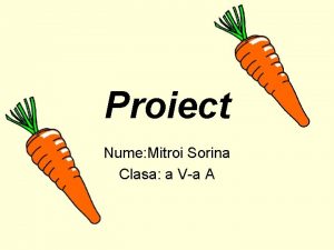 Proiect Nume Mitroi Sorina Clasa a Va A