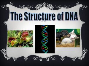 DNA v DNA is often called the blueprint