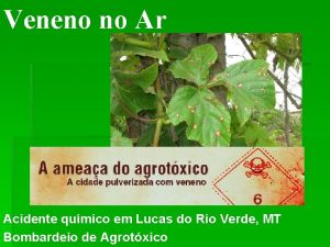 Veneno no Ar Acidente qumico em Lucas do