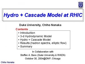 Hydro Cascade Model at RHIC Duke University Chiho