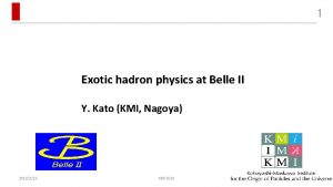 1 Exotic hadron physics at Belle II Y