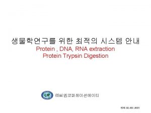 Protein DNA RNA extraction Protein Trypsin Digestion 02