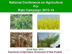 National Conference on Agriculture For Rabi Campaign 2013