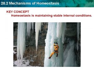 28 2 Mechanisms of Homeostasis KEY CONCEPT Homeostasis