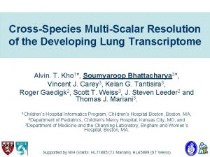 CrossSpecies MultiScalar Resolution of the Developing Lung Transcriptome