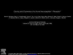 Cloning and Expression of a Novel Neuropeptide Y