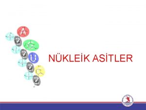 NKLEK ASTLER Nkleik Asitler DNA ve RNA nkleik