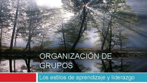 ORGANIZACIN DE GRUPOS Los estilos de aprendizaje y