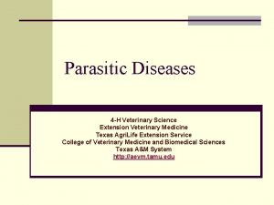 Parasitic Diseases 4 H Veterinary Science Extension Veterinary